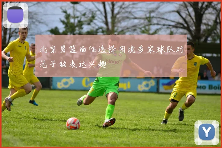 北京男篮面临选择困境多家球队对范子铭表达兴趣
